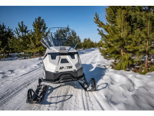 Снегоход Артик 4Т